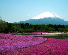 聖アンジェラの日々のことば（１２２）