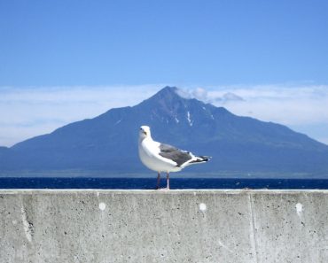 聖アンジェラの日々のことば（２４８）